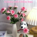 Handmade Rose Bouquet for Women’s Day | 6 Stems with Vase