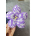6 lots colorful Chenille Stems and everthing else for Jazzziexo