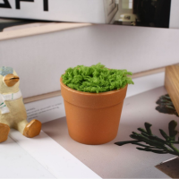 6 PCS * Brown Small Plant Pots, Plastic Planters for Flowers Plants, Succulents, Seed Starting Pots,Handmade Pipe Cleaner Potted Plant 6 PCS * Brown Small Plant Pots, Plastic Planters for Flowers Plants, Succulents, Seed Starting Pots,Handmade Pipe Cleaner Potted Plant