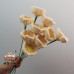 10 PCS * Handmade Pipe Cleaner Helloborus‌ Artificial Simulation Flower Indoor Home Desktop Party Wedding Decor