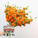 180 PCS * Pipe Cleaner Chenille Stems Handmade Persimmon Making Kit DIY Art Flower Bouquet Craft Set Hot Glue Sticks Tape
