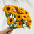 Exactly Same Craft kits As Tiktok Live Streaming Fuzzy Pipe Cleaner Chenille Stems DIY Craft Supplies For Sunflower