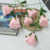20 PCS * Handmade Pipe Cleaner Rose Flower Green Leaves Artificial Simulation Flower Indoor Home Desktop Party Wedding Decor