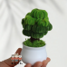 4 PCS * Handmade Pipe Cleaner Green Money Tree Artificial Simulation Flowers Indoor Home Desktop Party Wedding Decor