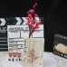 100 PCS * Pipe Cleaner Chenille Stems Plum Blossom Making Kit DIY Art Flower Bouquet Craft Set