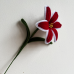 Exactly Same Lily Making Kits As Tiktok Live Streaming Fuzzy Pipe Cleaner Chenille Stems DIY Craft Supplies For White &amp; Red Lily