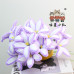 12 PCS * Handmade Pipe Cleaner Bicolor Lily Flower Artificial Simulation Flower Indoor Home Desktop Party Wedding Decor