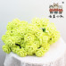 15 PCS  * Handmade Pipe Cleaner Carnation Flower Green Leaves Artificial Simulation Flower Indoor Home Desktop Party Wedding Decor