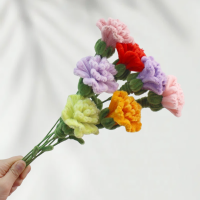 15 PCS * Handmade Pipe Cleaner Carnation Flower Green Leaves Artificial Simulation Flower Indoor Home Desktop Party Wedding Decor 15 PCS * Handmade Pipe Cleaner Carnation Flower Green Leaves Artificial Simulation Flower Indoor Home Desktop Party Wedding Decor