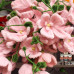 115 PCS * Pipe Cleaner Chenille Stems Handmade Butterfly Orchid Flower Making Kit DIY Art Flower Bouquet Craft Set Hot Glue Sticks Tape