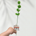 100 PCS * Pipe Cleaner Chenille Stems Handmade Green Eucalyptus Leaves Making Kit DIY Art Flower Bouquet Craft Set