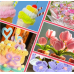 All the exactly kits for Ursula colorful Chenille Stems