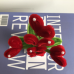 2 PCS * Handmade Pipe Cleaner Red Love Heart Green Leaves with Flowers Potted Plant Artificial Simulation Flowers Indoor Home Desktop Party Wedding Decor