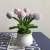 2 PCS * Handmade Pipe Cleaner White &amp; Pink Flower Buds Green Leaves with Flowers Potted Plant Artificial Simulation Flowers Indoor Home Desktop Party Wedding Decor
