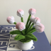 2 PCS * Handmade Pipe Cleaner White &amp; Pink Flower Buds Green Leaves with Flowers Potted Plant Artificial Simulation Flowers Indoor Home Desktop Party Wedding Decor