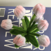 2 PCS * Handmade Pipe Cleaner White &amp; Pink Flower Buds Green Leaves with Flowers Potted Plant Artificial Simulation Flowers Indoor Home Desktop Party Wedding Decor