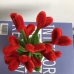 Handmade Pipe Cleaner Red Love Hearts Green Leaves with Flowers Potted Plant Artificial Simulation Flowers Indoor Home Desktop Party Wedding Decor