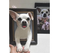 Custom Felted Pet Portraits