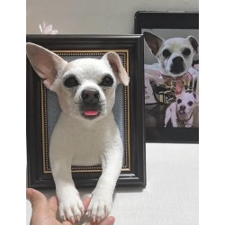 Head &amp; Paws Pet Portraits Handmade 3D Cat Wool Needle Felt Portraits with Wooden Frame | PetsMatter