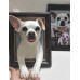 Head &amp; Paws Pet Portraits Handmade 3D Cat Wool Needle Felt Portraits with Wooden Frame | PetsMatter