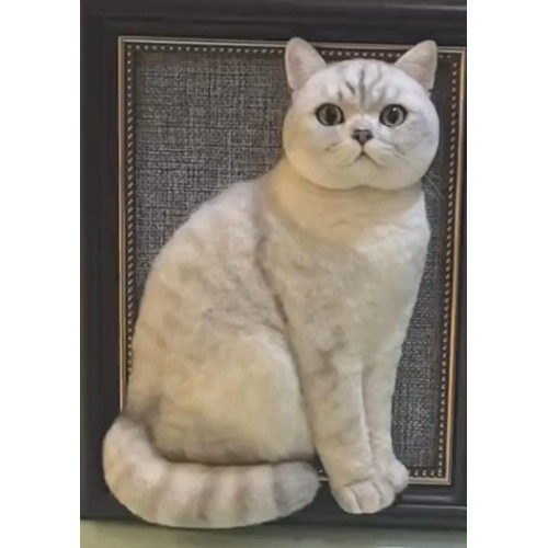 Head &amp; Paws Pet Portraits Handmade 3D Cat Wool Needle Felt Portraits with Wooden Frame | PetsMatter