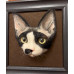 Head Pet Portraits Handmade 3D Dogs Wool Needle Felt Portraits with Wooden Frame | PetsMatter Solid&amp;Bicolor