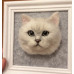 Head Pet Portraits Handmade 3D Dogs Wool Needle Felt Portraits with Wooden Frame | PetsMatter Solid&amp;Bicolor