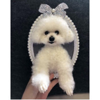 Head & Paws Pet Portraits Handmade 3D Cat Wool Needle Felt Portraits with Wooden Frame | PetsMatter Head & Paws Pet Portraits Handmade 3D Cat Wool Needle Felt Portraits with Wooden Frame | PetsMatter