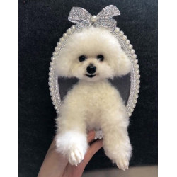 Head &amp; Paws Pet Portraits Handmade 3D Cat Wool Needle Felt Portraits with Wooden Frame | PetsMatter