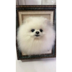 Head Pet Portraits Handmade 3D Dogs Wool Needle Felt Portraits with Wooden Frame | PetsMatter Solid&amp;Bicolor