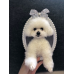 Head &amp; Paws Pet Portraits Handmade 3D Cat Wool Needle Felt Portraits with Wooden Frame | PetsMatter